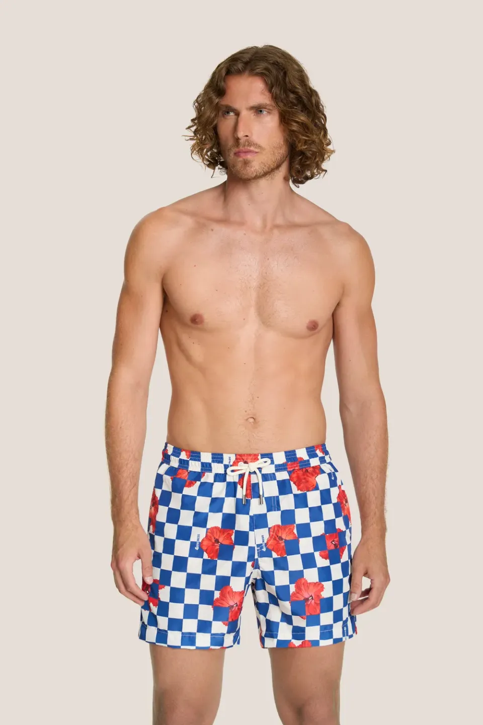 4 Giveness Orchids boxer mare corto Royal