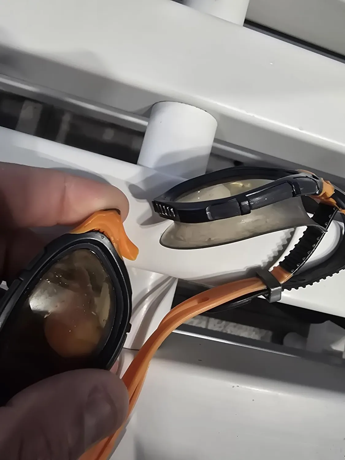 Zoggs Predator Flex occhialini polarizzati nero arancio
