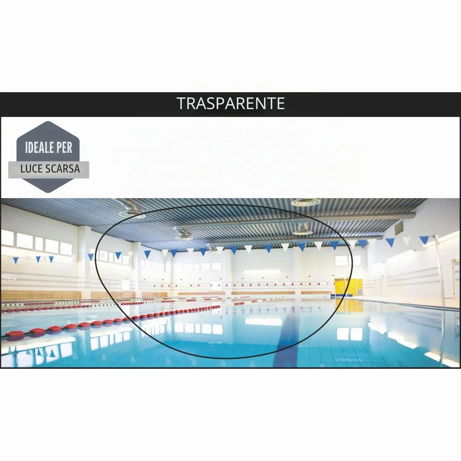 Zoggs Predator occhialini nuoto regular fumé antiappannamento