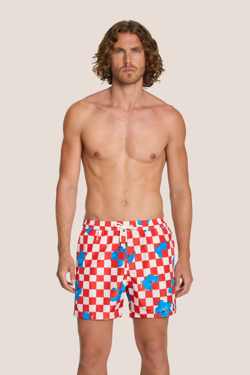 4 Giveness Orchids boxer mare corto Royal