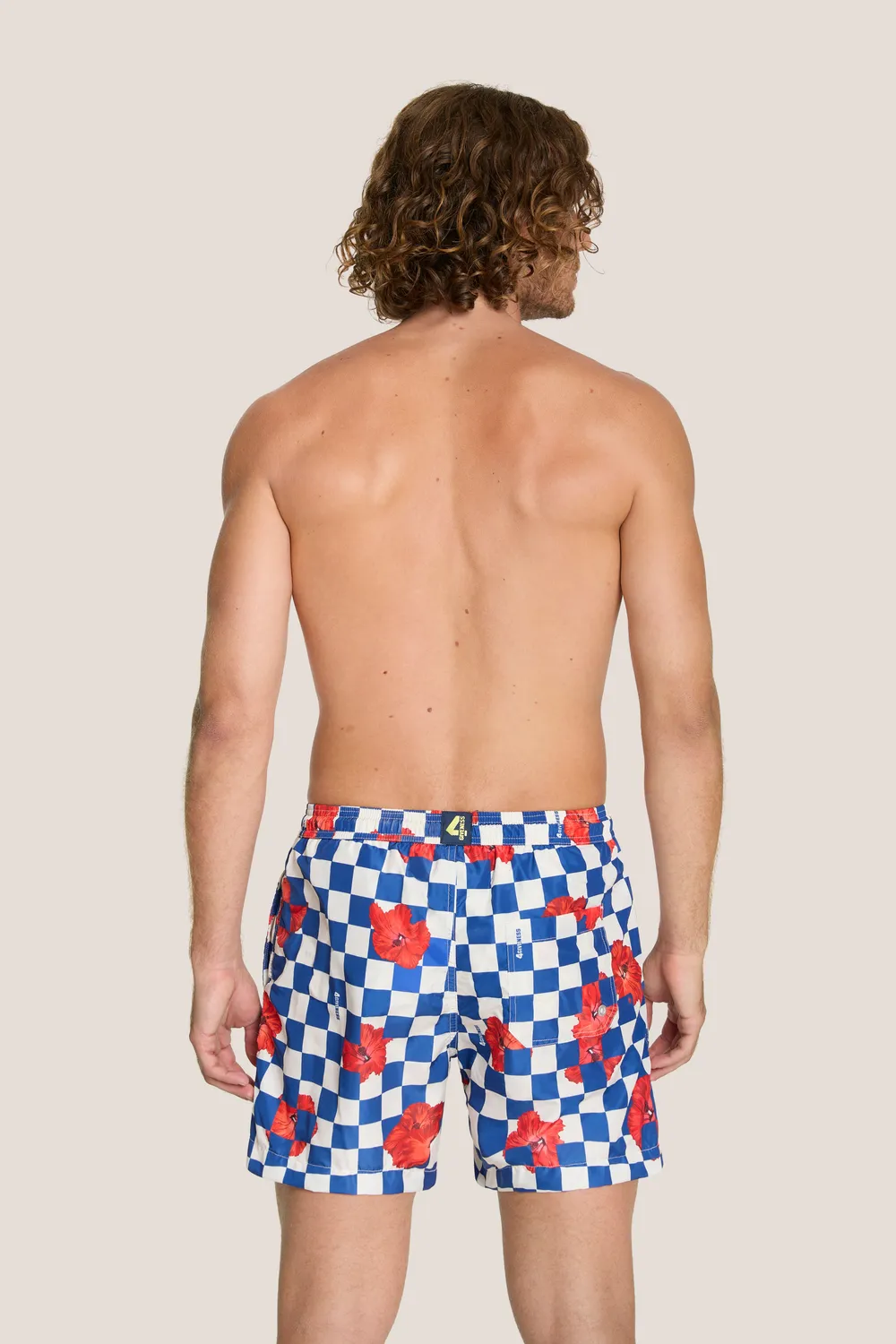 4 Giveness Orchids boxer mare corto Royal
