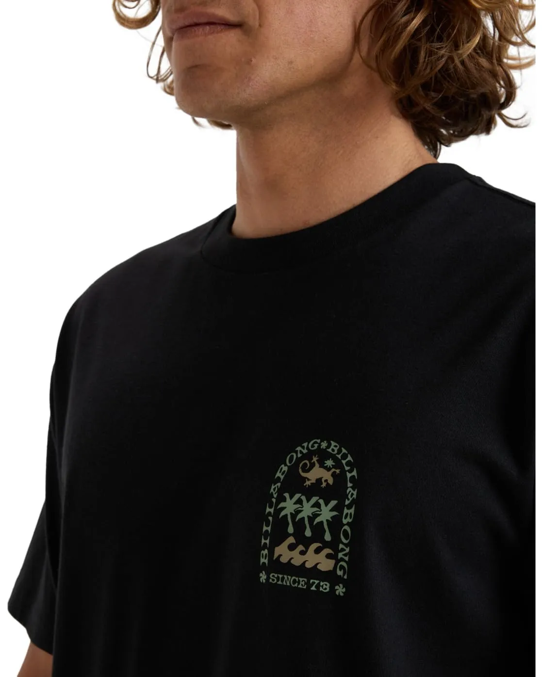 Billabong Monument SS t-shirt uomo cotone manica corta