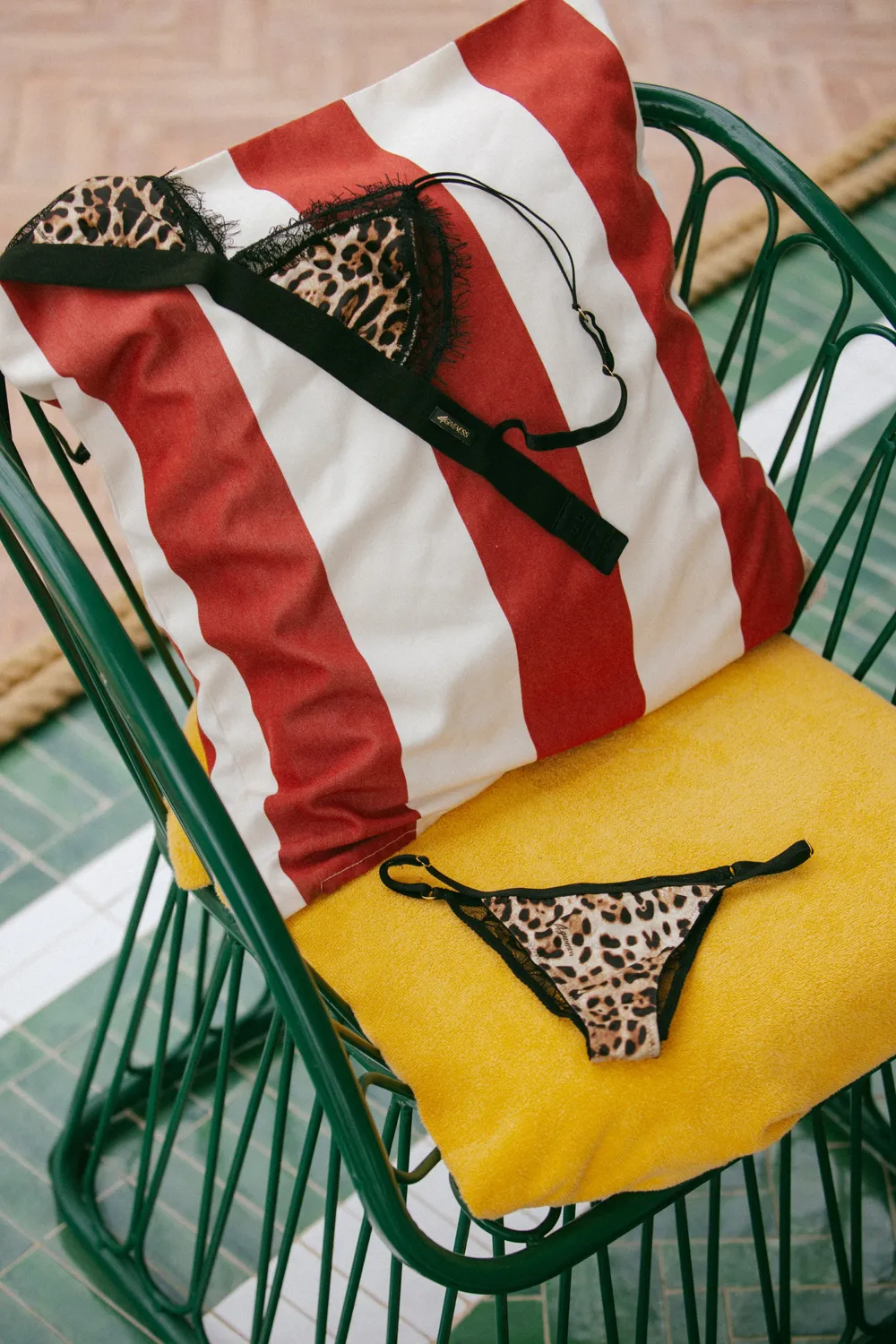 4Giveness Wild Touch perizoma lingerie animalier pizzo