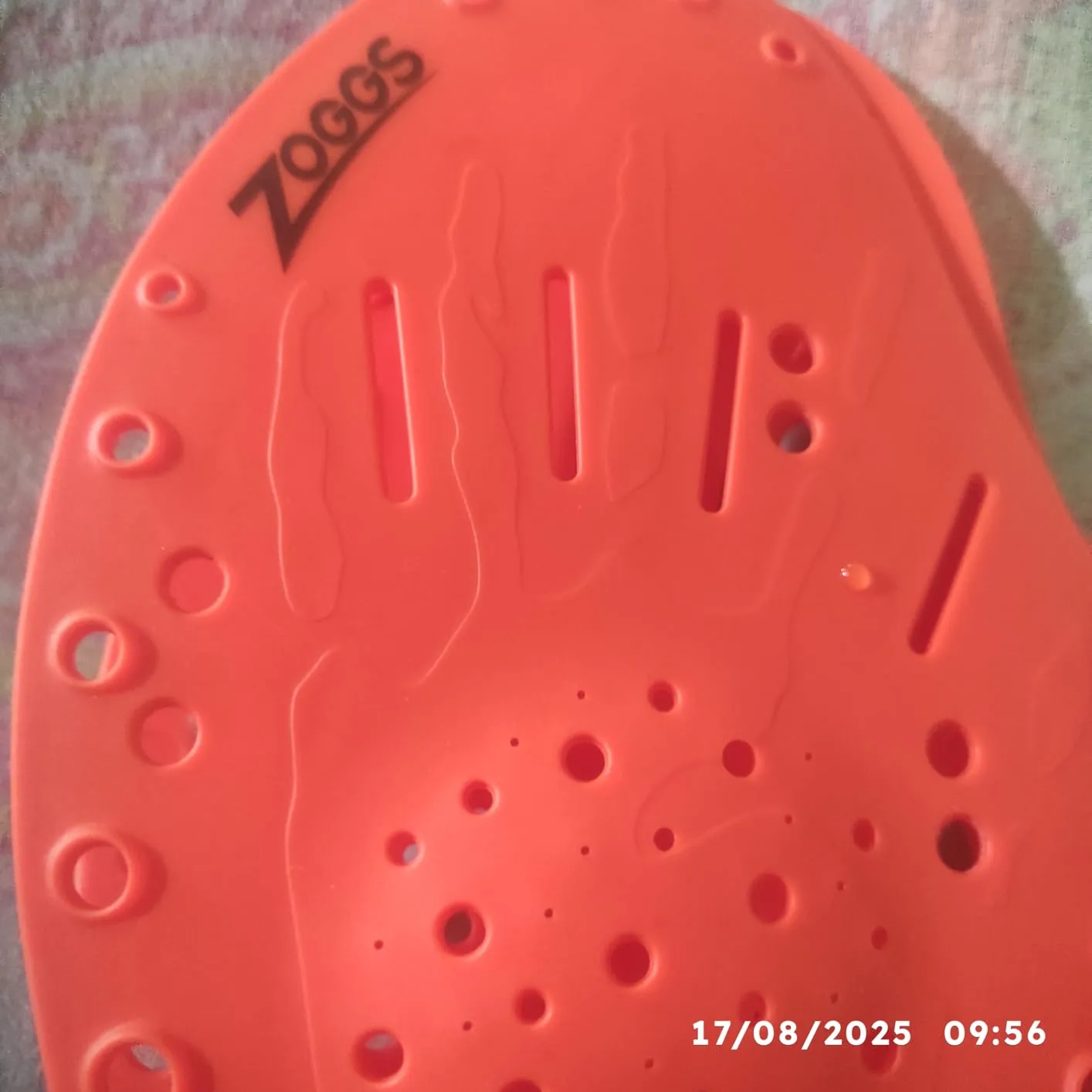Zoggs Matrix Palette Nuoto Unisex tecnica bracciata