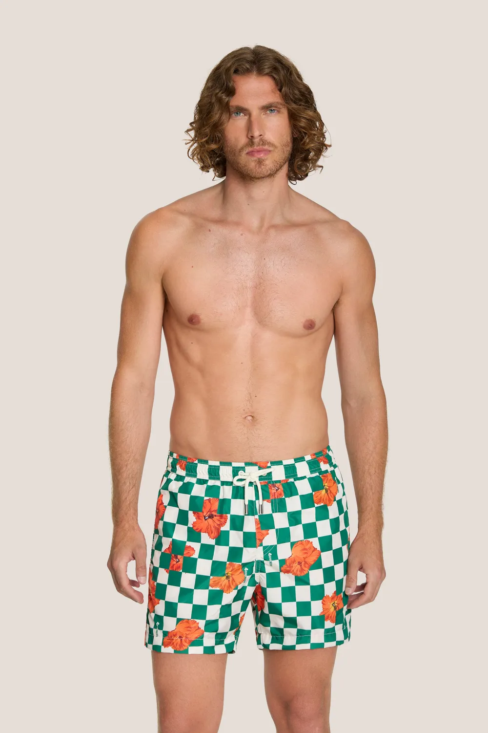 4 Giveness Orchids boxer mare corto Royal